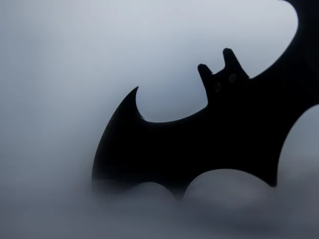 batman fed